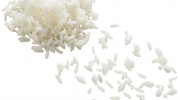 2210 Puntal Rice
