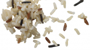 2346 Blended Rice