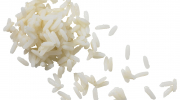 3000 Organic Long Grain White Rice LR 